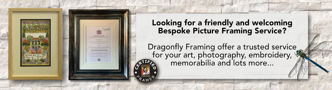Dragonfly Framing - Graham Perryman