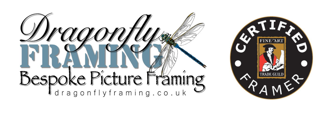 Dragonfly Framing